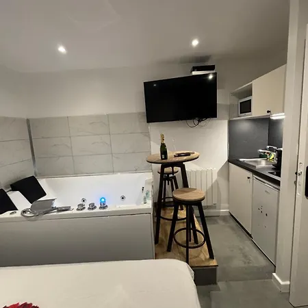 Les Bulles De Mona - Le Wilson - Appartement